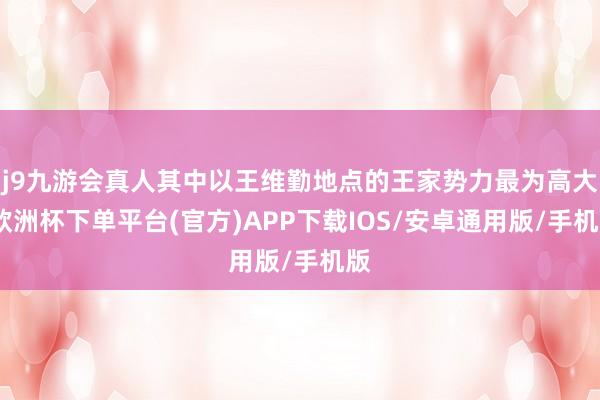 j9九游会真人其中以王维勤地点的王家势力最为高大-欧洲杯下单平台(官方)APP下载IOS/安卓通用版/手机版