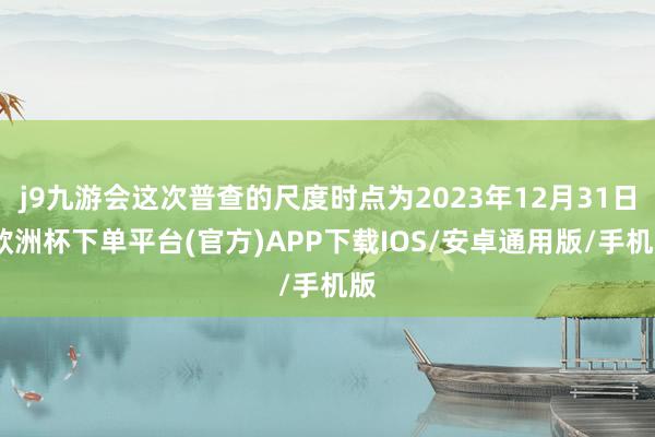 j9九游会这次普查的尺度时点为2023年12月31日-欧洲杯下单平台(官方)APP下载IOS/安卓通用版/手机版