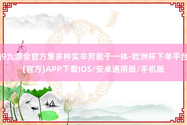 j9九游会官方集多种实辛劳能于一体-欧洲杯下单平台(官方)APP下载IOS/安卓通用版/手机版