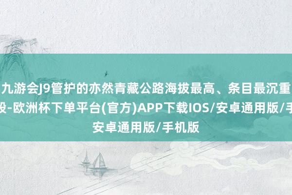 九游会J9管护的亦然青藏公路海拔最高、条目最沉重的路段-欧洲杯下单平台(官方)APP下载IOS/安卓通用版/手机版