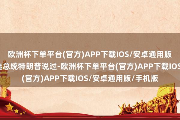 欧洲杯下单平台(官方)APP下载IOS/安卓通用版/手机版好意思国当选总统特朗普说过-欧洲杯下单平台(官方)APP下载IOS/安卓通用版/手机版