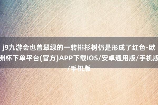 j9九游会也曾翠绿的一转排杉树仍是形成了红色-欧洲杯下单平台(官方)APP下载IOS/安卓通用版/手机版