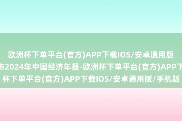 欧洲杯下单平台(官方)APP下载IOS/安卓通用版/手机版国度统计局发布2024年中国经济年报-欧洲杯下单平台(官方)APP下载IOS/安卓通用版/手机版