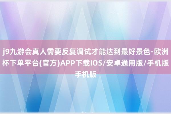 j9九游会真人需要反复调试才能达到最好景色-欧洲杯下单平台(官方)APP下载IOS/安卓通用版/手机版