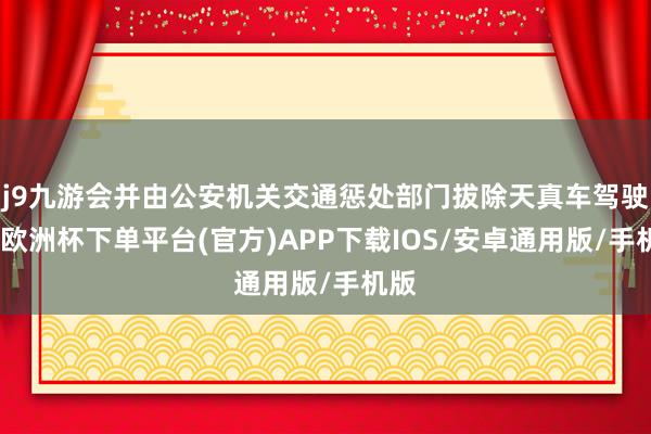 j9九游会并由公安机关交通惩处部门拔除天真车驾驶证-欧洲杯下单平台(官方)APP下载IOS/安卓通用版/手机版