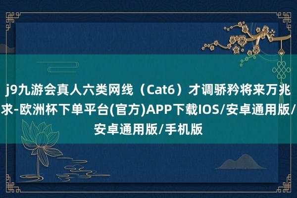 j9九游会真人六类网线（Cat6）才调骄矜将来万兆升级需求-欧洲杯下单平台(官方)APP下载IOS/安卓通用版/手机版