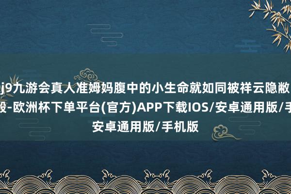 j9九游会真人准姆妈腹中的小生命就如同被祥云隐敝着一般-欧洲杯下单平台(官方)APP下载IOS/安卓通用版/手机版