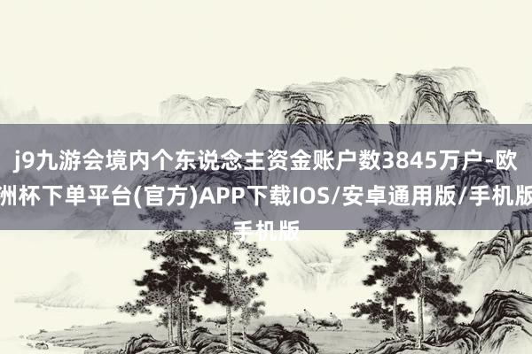 j9九游会境内个东说念主资金账户数3845万户-欧洲杯下单平台(官方)APP下载IOS/安卓通用版/手机版