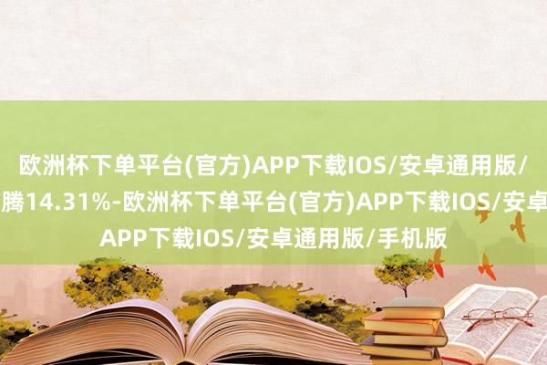 欧洲杯下单平台(官方)APP下载IOS/安卓通用版/手机版近1年飞腾14.31%-欧洲杯下单平台(官方)APP下载IOS/安卓通用版/手机版