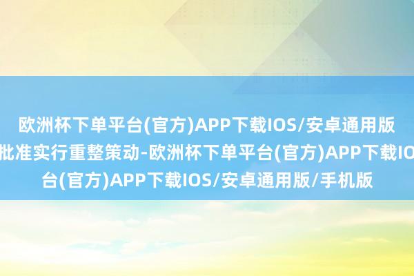 欧洲杯下单平台(官方)APP下载IOS/安卓通用版/手机版因公司被裁定批准实行重整策动-欧洲杯下单平台(官方)APP下载IOS/安卓通用版/手机版