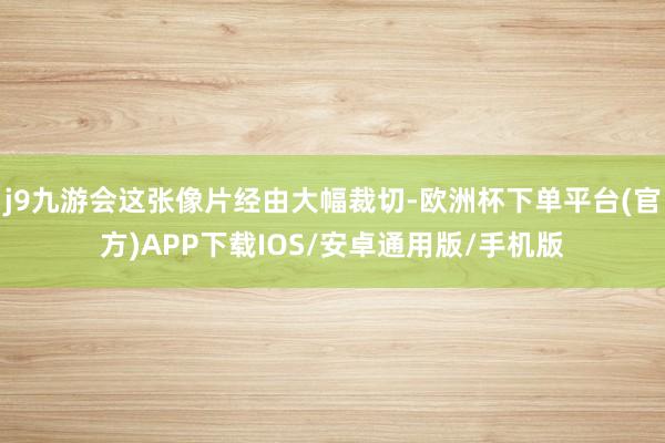 j9九游会这张像片经由大幅裁切-欧洲杯下单平台(官方)APP下载IOS/安卓通用版/手机版