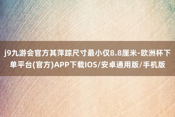 j9九游会官方其萍踪尺寸最小仅8.8厘米-欧洲杯下单平台(官方)APP下载IOS/安卓通用版/手机版