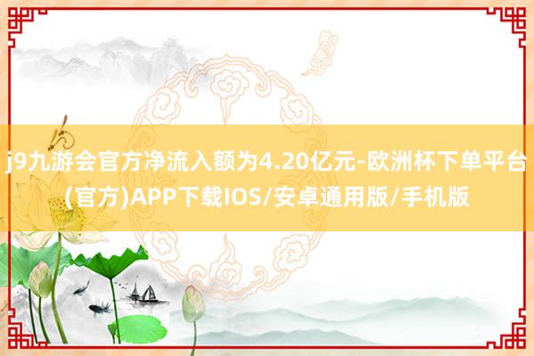 j9九游会官方净流入额为4.20亿元-欧洲杯下单平台(官方)APP下载IOS/安卓通用版/手机版