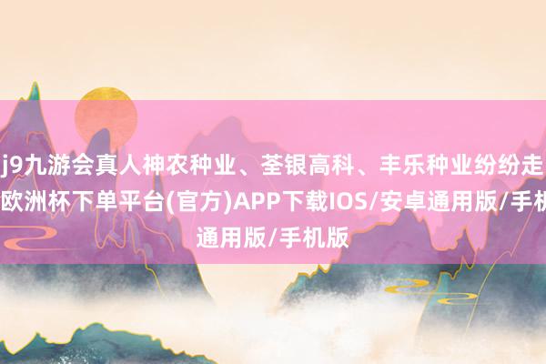 j9九游会真人神农种业、荃银高科、丰乐种业纷纷走低-欧洲杯下单平台(官方)APP下载IOS/安卓通用版/手机版