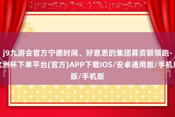 j9九游会官方宁德时间、好意思的集团募资额领跑-欧洲杯下单平台(官方)APP下载IOS/安卓通用版/手机版