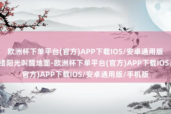 欧洲杯下单平台(官方)APP下载IOS/安卓通用版/手机版当早晨第一缕阳光叫醒地面-欧洲杯下单平台(官方)APP下载IOS/安卓通用版/手机版