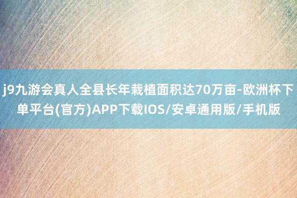 j9九游会真人全县长年栽植面积达70万亩-欧洲杯下单平台(官方)APP下载IOS/安卓通用版/手机版