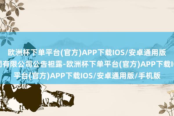欧洲杯下单平台(官方)APP下载IOS/安卓通用版/手机版碧桂园地产集团有限公司公告袒露-欧洲杯下单平台(官方)APP下载IOS/安卓通用版/手机版