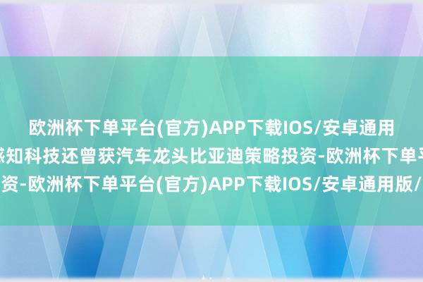 欧洲杯下单平台(官方)APP下载IOS/安卓通用版/手机版此前帕西尼感知科技还曾获汽车龙头比亚迪策略投资-欧洲杯下单平台(官方)APP下载IOS/安卓通用版/手机版