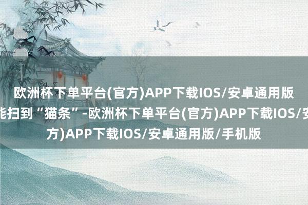 欧洲杯下单平台(官方)APP下载IOS/安卓通用版/手机版她每天皆能扫到“猫条”-欧洲杯下单平台(官方)APP下载IOS/安卓通用版/手机版