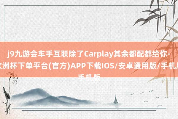j9九游会车手互联除了Carplay其余都配都给你-欧洲杯下单平台(官方)APP下载IOS/安卓通用版/手机版