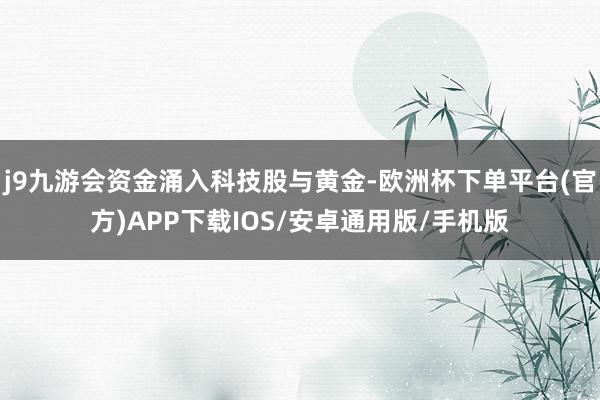 j9九游会资金涌入科技股与黄金-欧洲杯下单平台(官方)APP下载IOS/安卓通用版/手机版